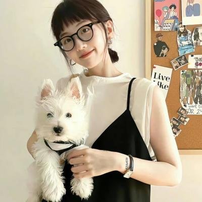 快乐的小鸡